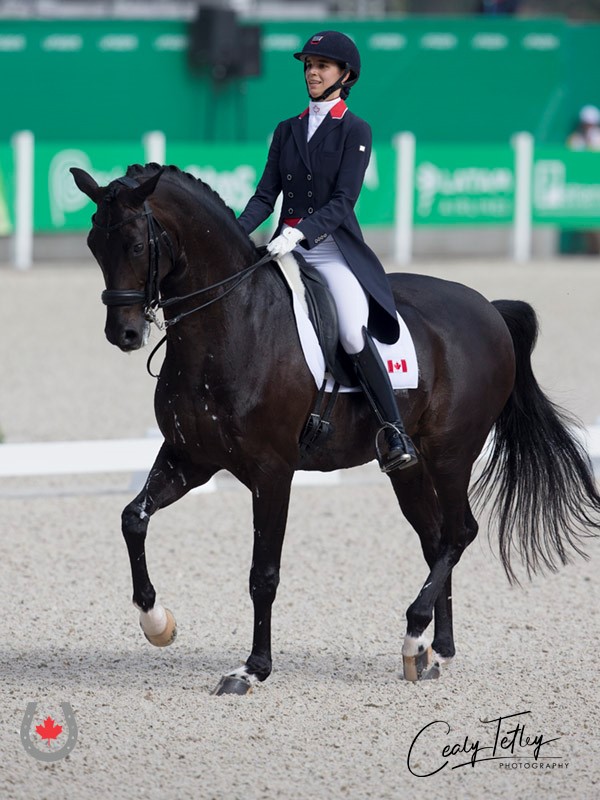 Canadian Dressage Team Holding Close Second at Lima 2019 Pan Am Games